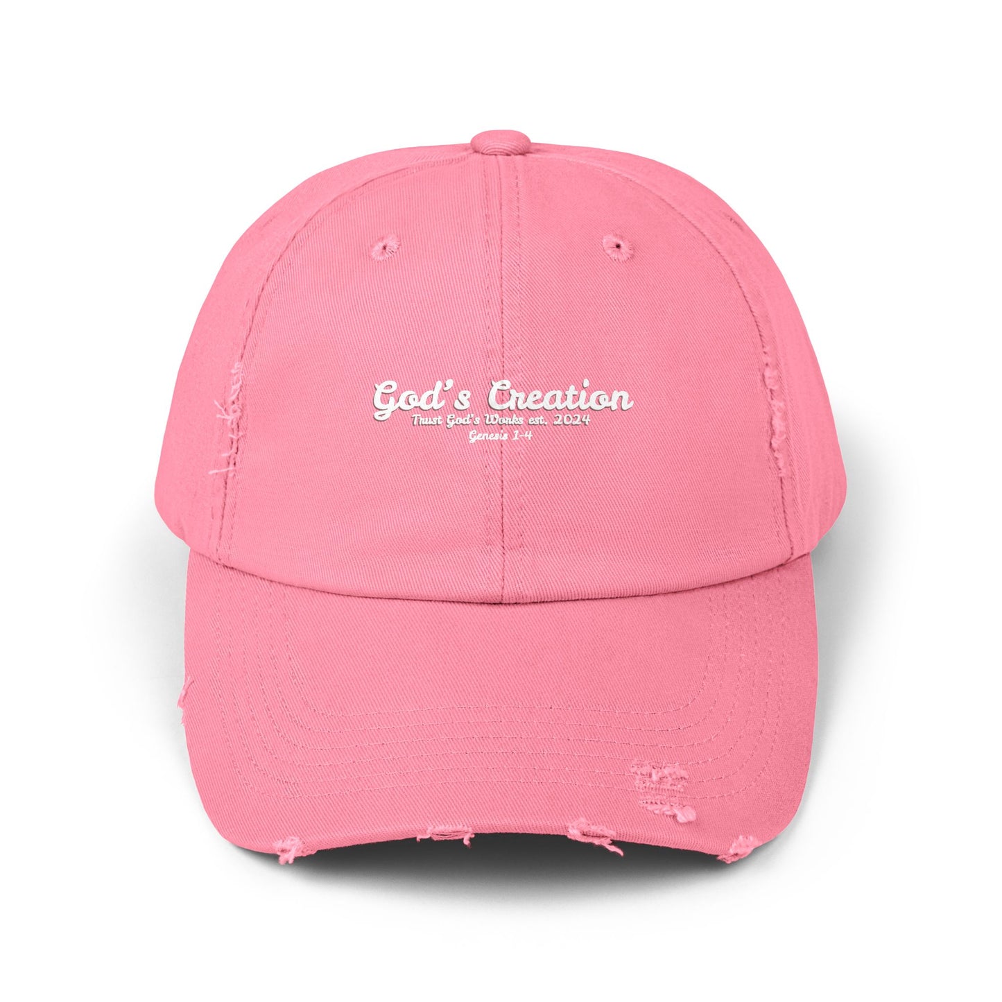 God’s Creation Distressed Hat