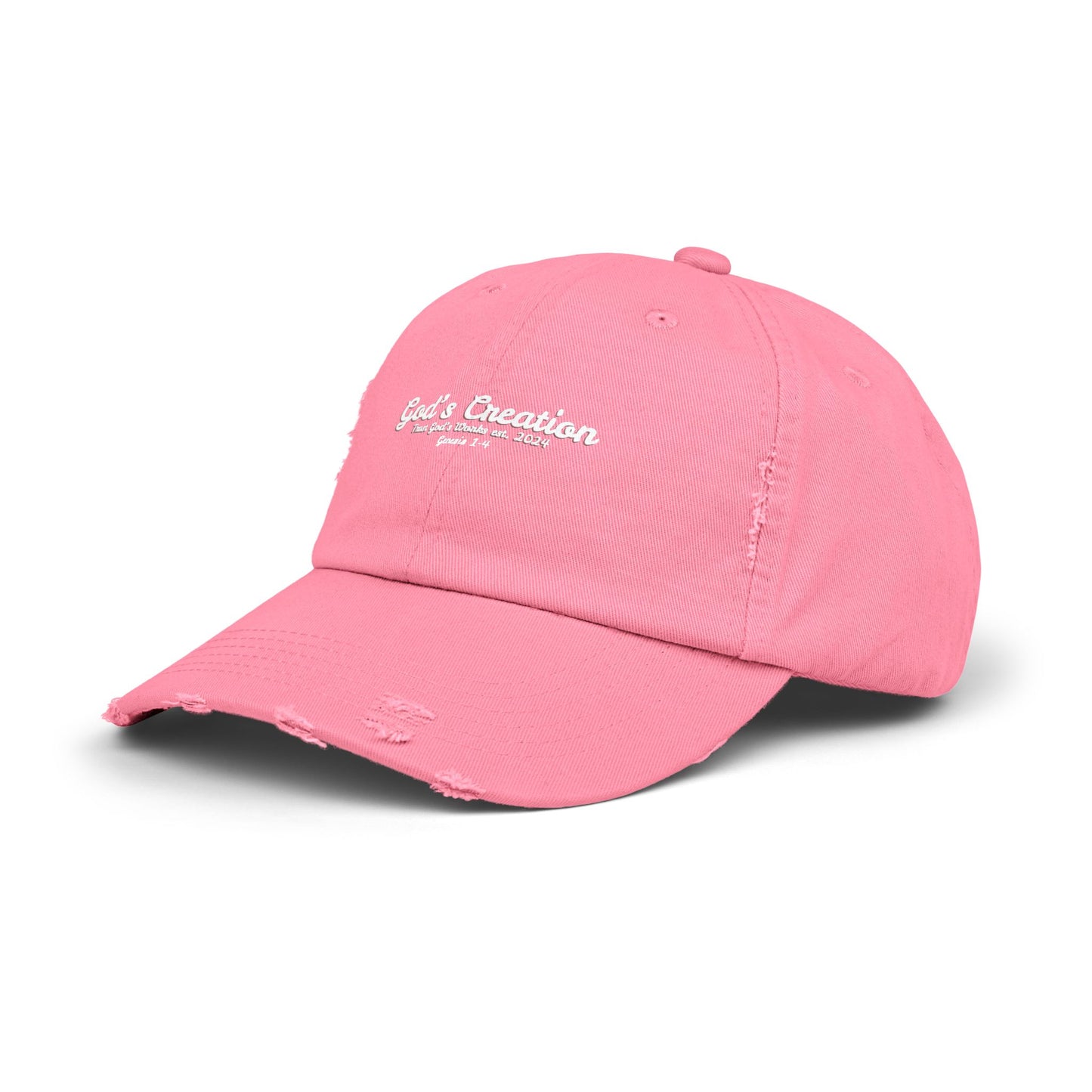 God’s Creation Distressed Hat